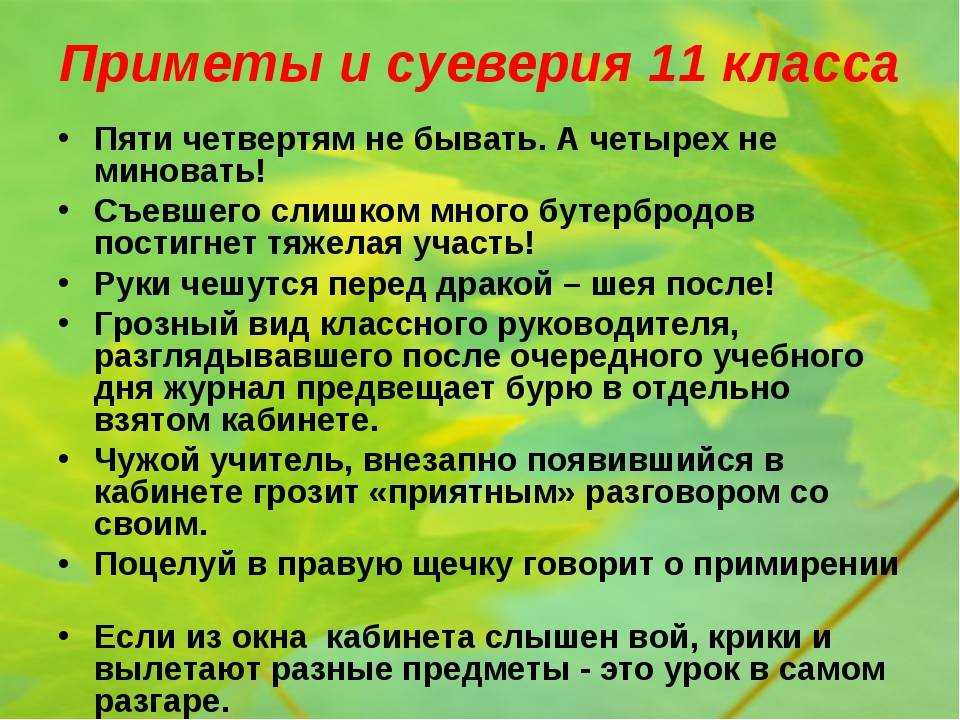 Плесень в цветочных горшках: причины появления, как избавиться от налета