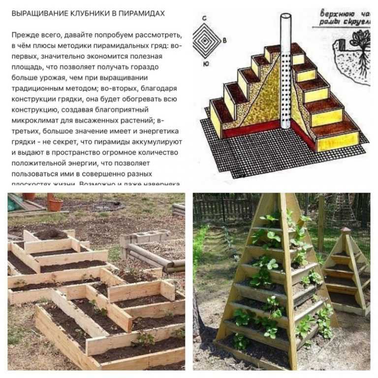Грядка для клубники многоярусная своими руками схема