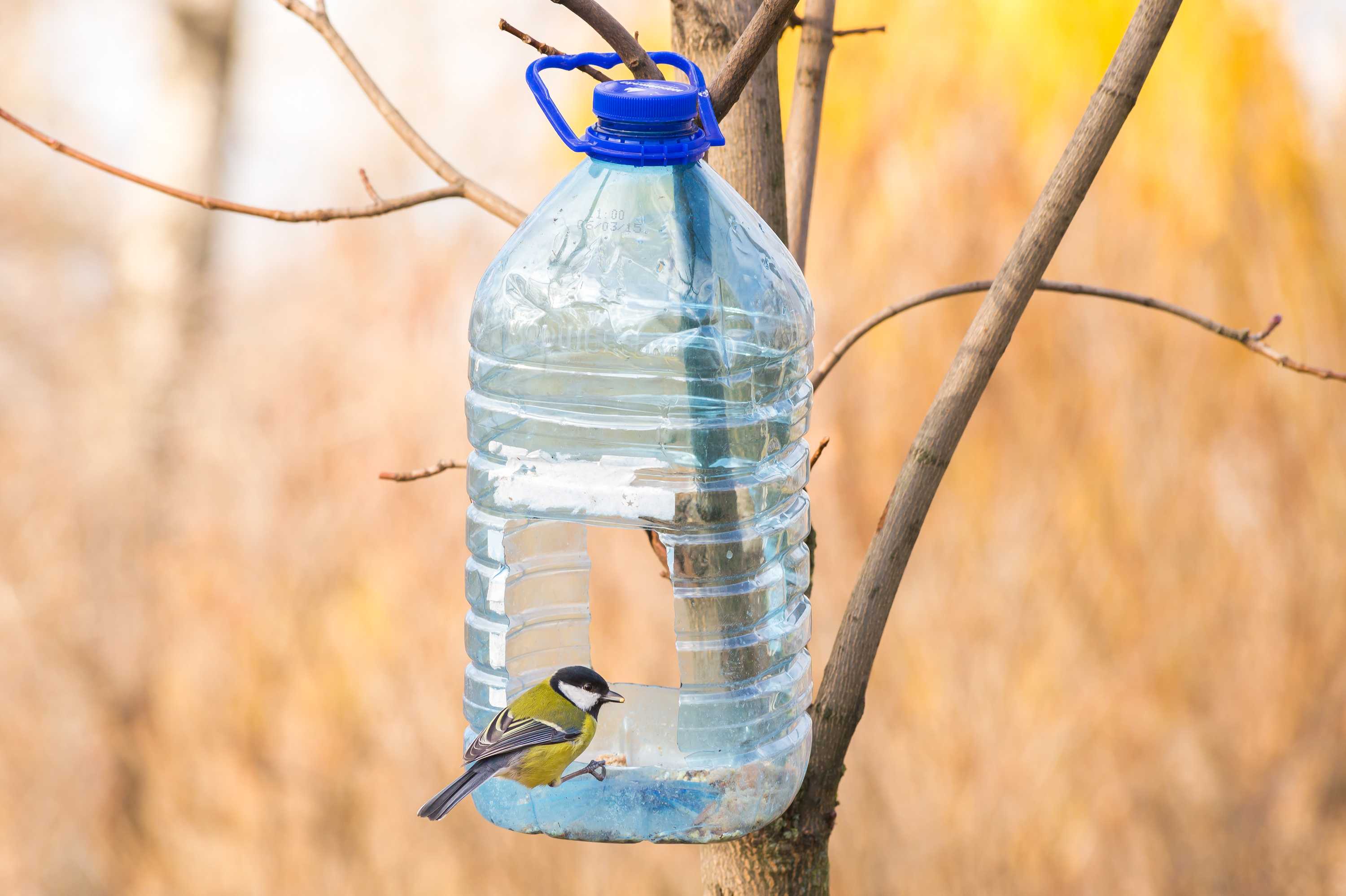 Самодельная кормушка для птиц из пластиковой бутылки.