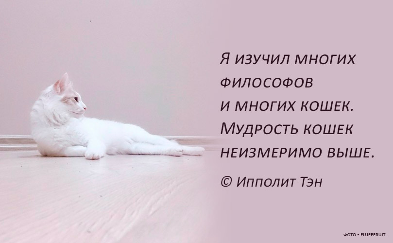 Флюгер своими руками чертежи и пошаговая инструкция с фото. виды флюгеров