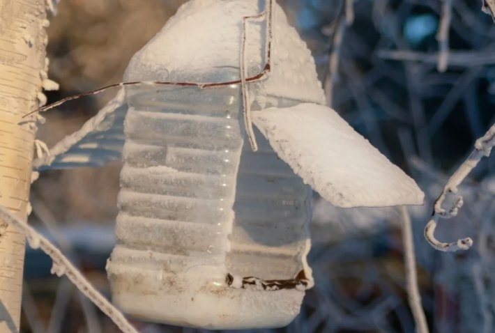 🕊 кормушка для птиц из пластиковой бутылки: идеи и советы по изготовлению.