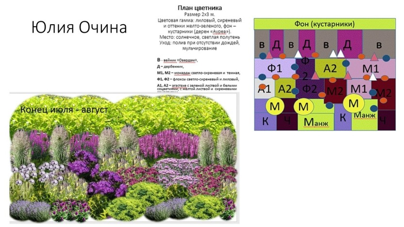 Схемы клумб из многолетников с описанием цветов для начинающих пошагово с фото
