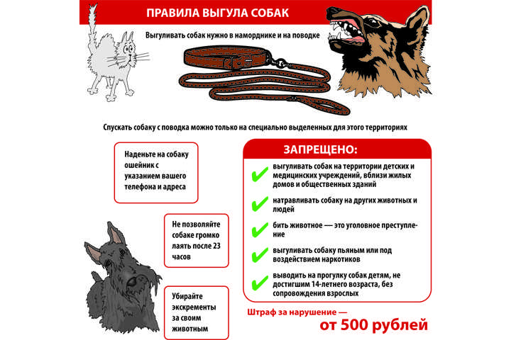 ᐉ шлейка для собак своими руками: выкройки, пошаговая инструкция, как сшить в домашних условиях - kcc-zoo.ru