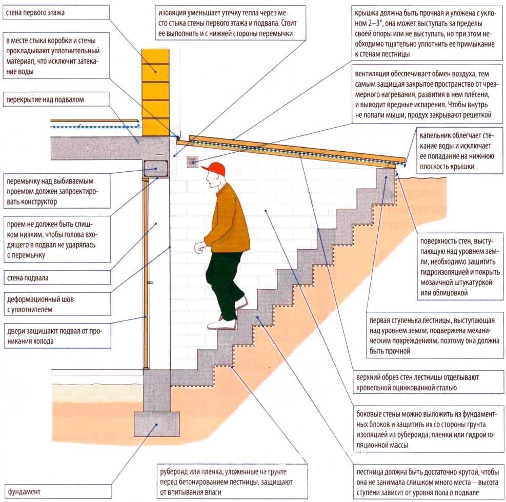 Тепло в подвале. оптимальная температура для погреба