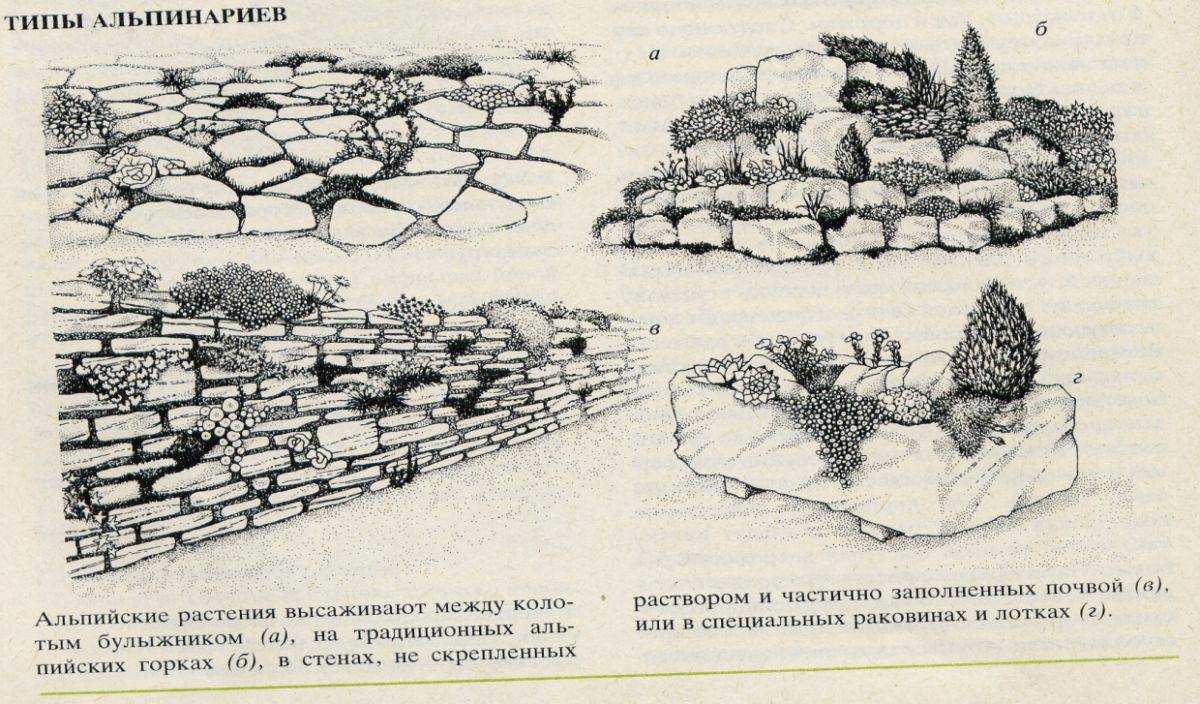 Схема устройства рокария