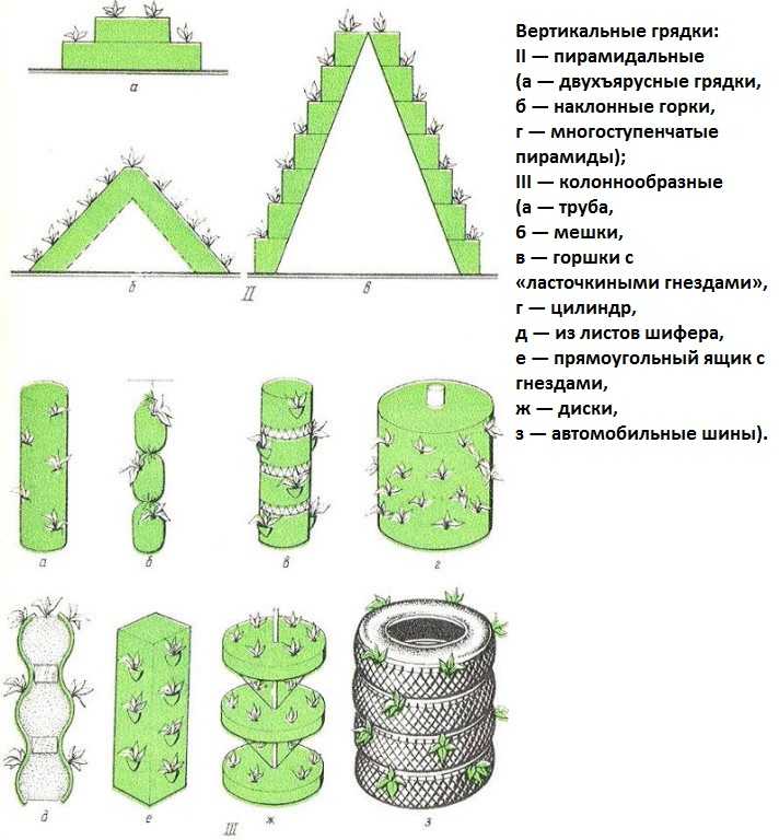 Правило 4 грядок для клубники схема