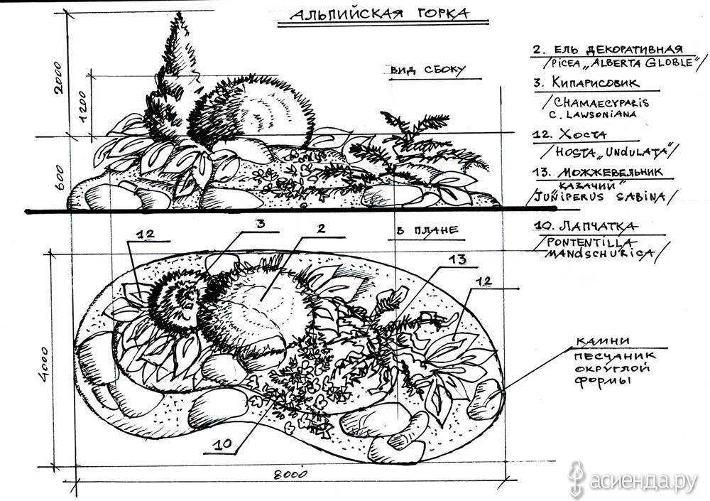 Альпийская горка схема расположения камней и растений