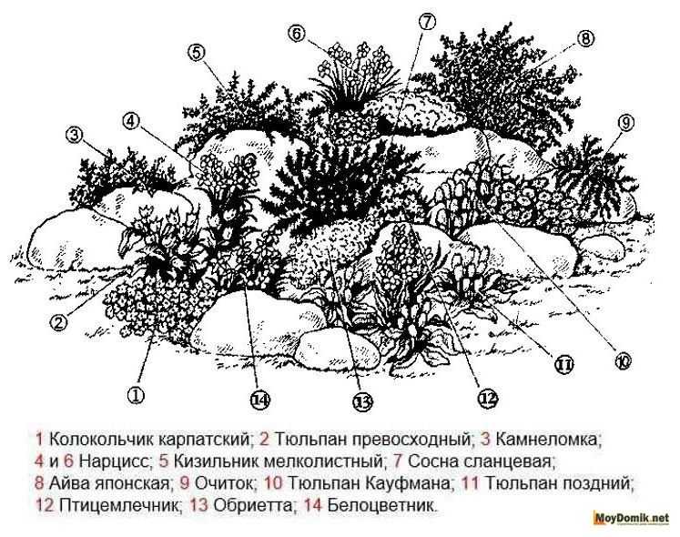 Альпийские горки в ландшафтном дизайне: лучшие идеи и этапы выполнения своими руками