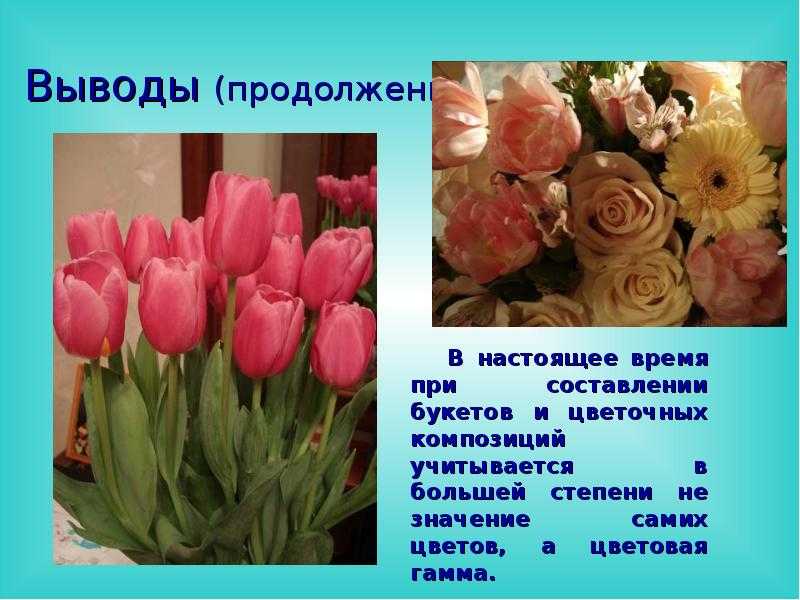 Маки из креповой бумаги своими руками. мастер-класс