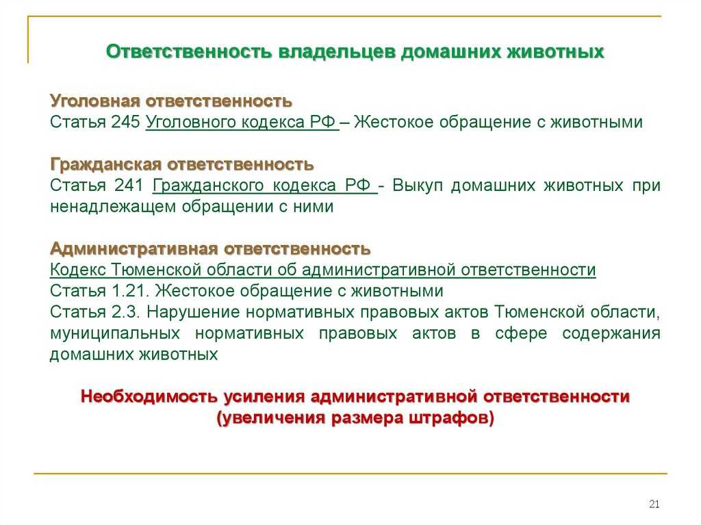 Шлейка для собаки своими руками — пошаговая инструкция