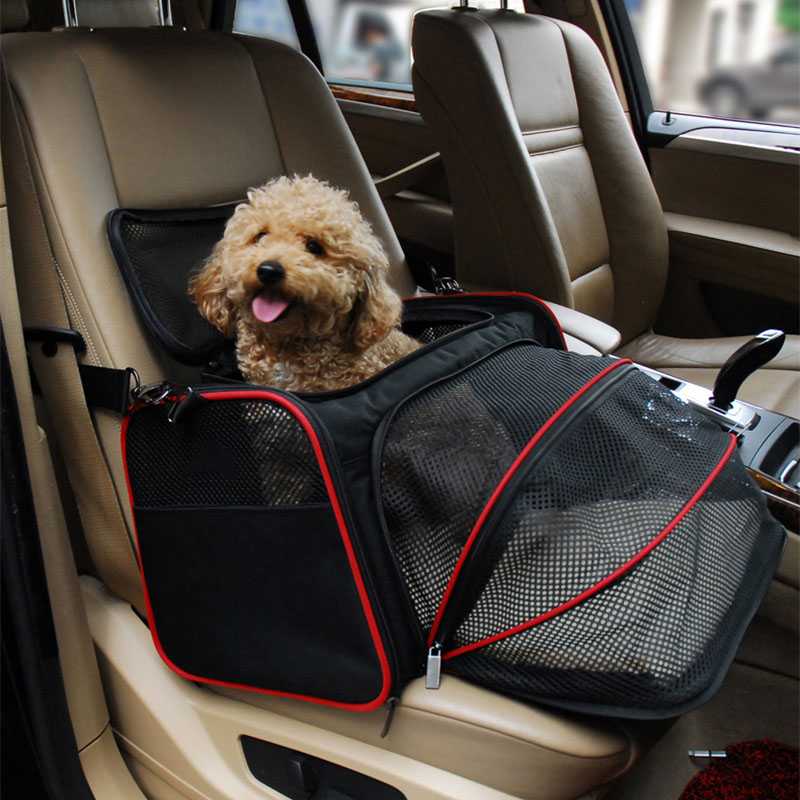 Перевозка собак в машине правила и приспособления
