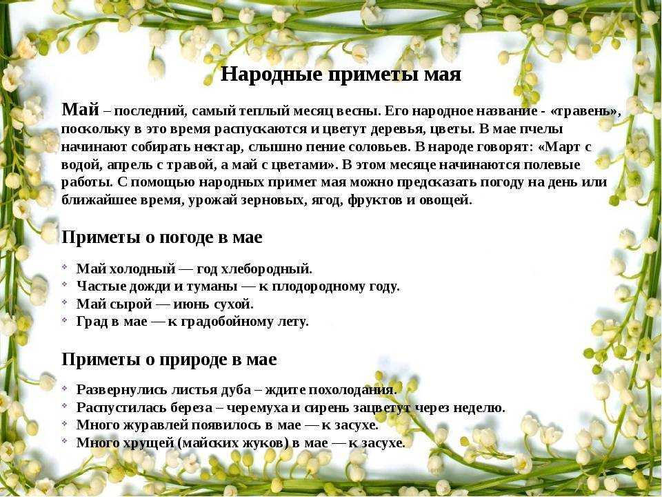 Статусы про цветы