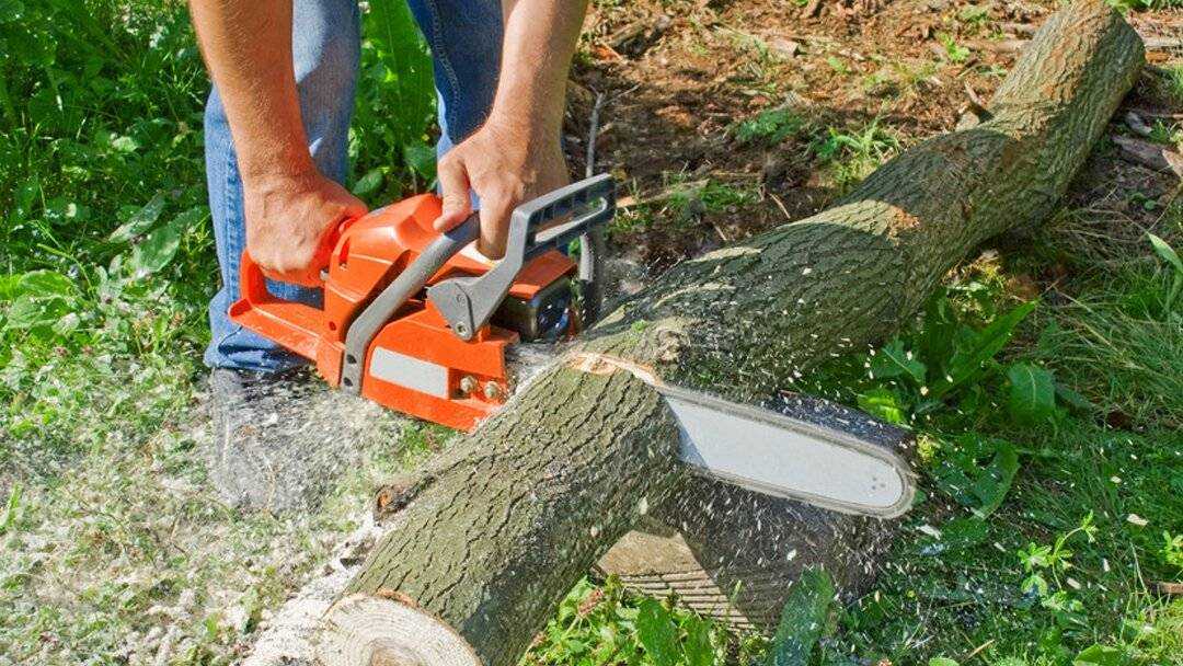 5 советов, как правильно резать дерево циркулярной пилой