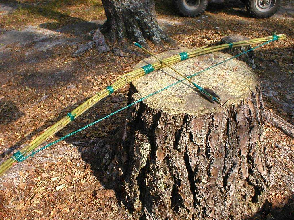 Как сделать лук и стрелы: выбор древесины для основания и стрел