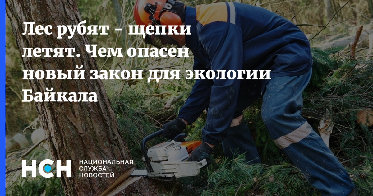 Новые веяния моды: канадский лесоруб пришел на смену метросексуалу