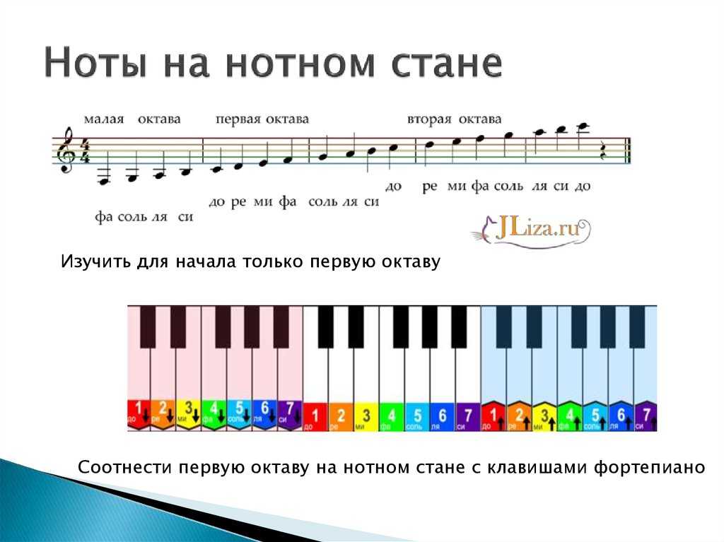 Поделки из пуговиц своими руками: мастер-классы, фото, идеи
