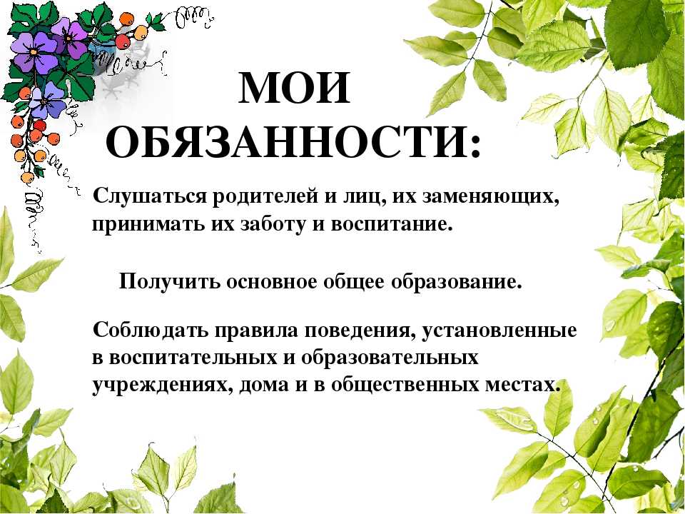 Мои обязанности в семье презентация