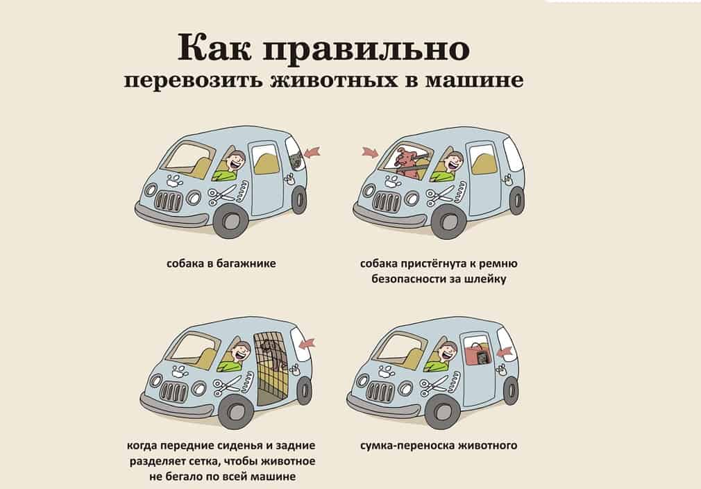 Для удобной и безопасной транспортировки крупных щенков в автомобиле потребуется клетка, которую можно сделать своими руками