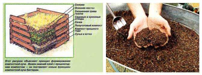 Готовим на даче компост: правила и технология изготовления