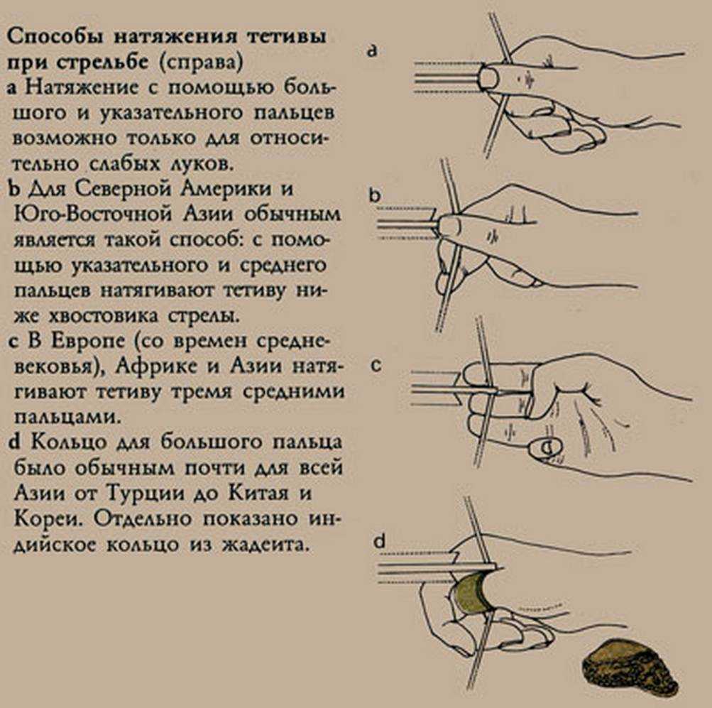Стрельба из лука: описание, история, экипировка﻿