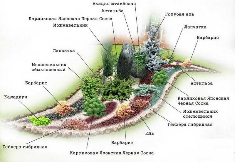 Альпийский горка: устройство, пошаговые советы | 60 фото