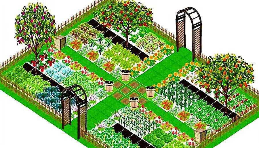 Как правильно посадить деревья на участке. Планировка фруктового сада на 10 сотках. План садово-огородного участка. Планировка огорода. Расположение грядок на огороде.