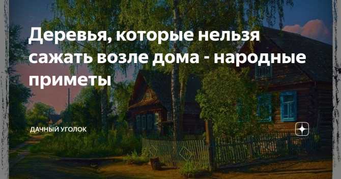 Поделки из стеклянных бутылок для дома и дачи (36 фото) | онлайн-журнал о ремонте и дизайне