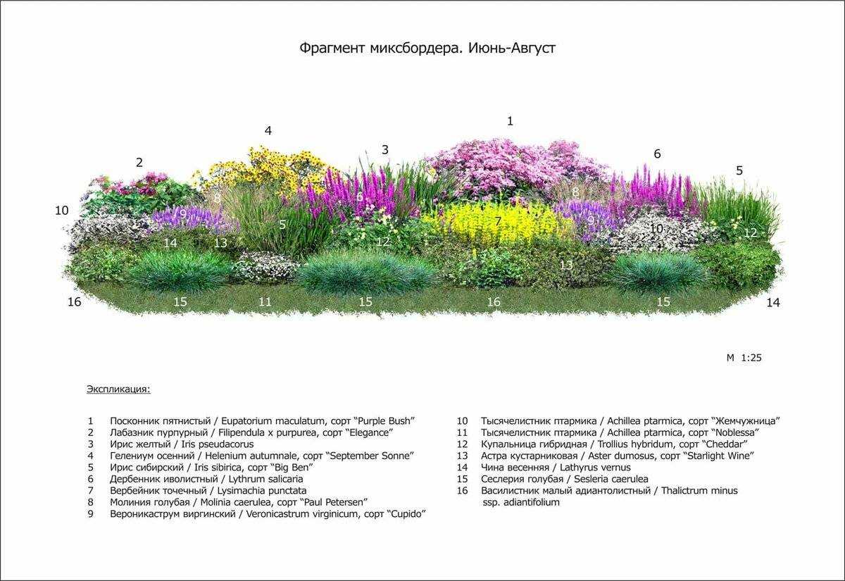 Клумбы из многолетников своими руками – оформляем красивый цветник