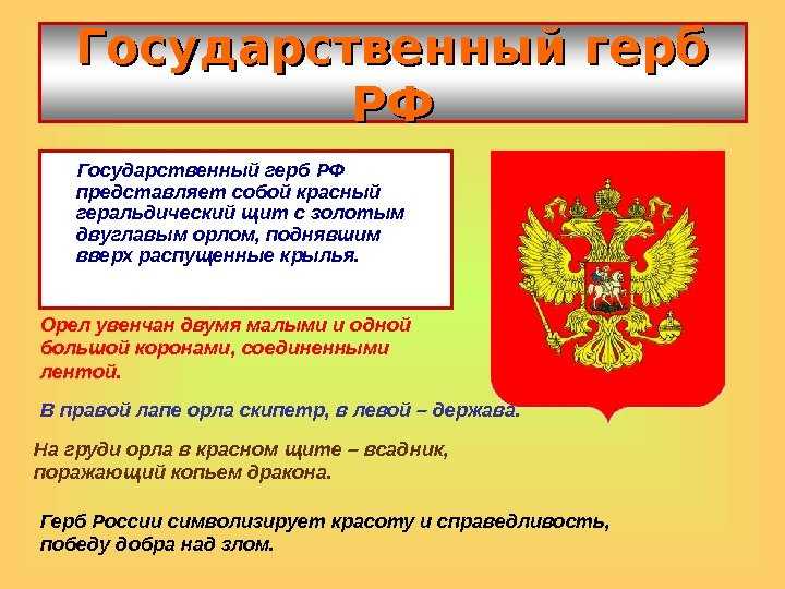 Красивые клумбы на даче из многолетников своими руками: фото