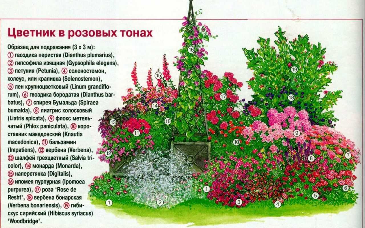 Клумбы - самые красивые - клумбы и ландшафтный дизайн