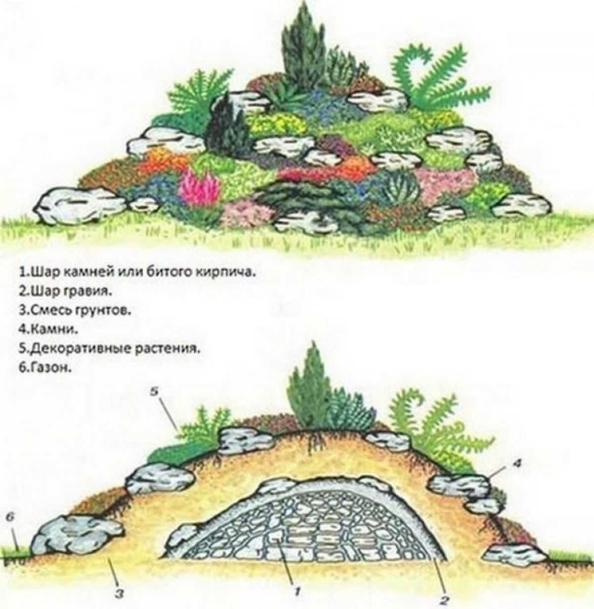 Альпийская горка схема расположения камней и растений