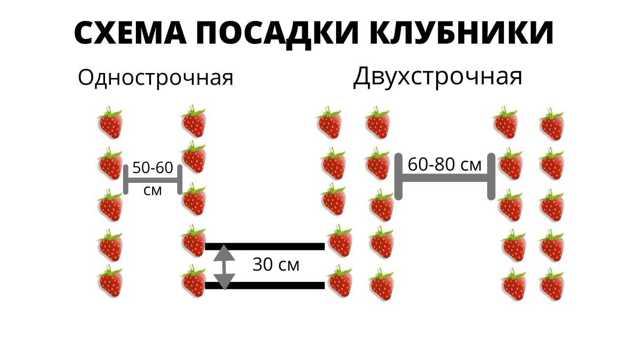 Как сделать грядки для клубники своими руками фото, примеры