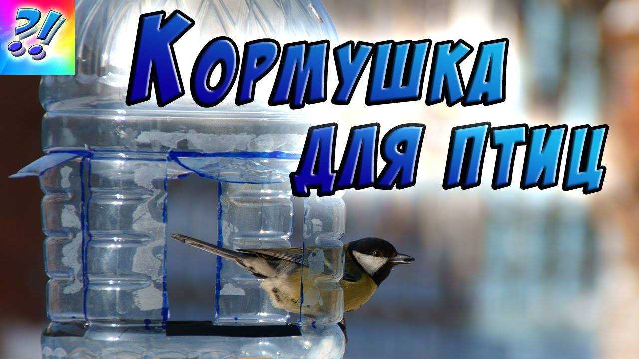 Как сделать кормушку для птиц из пластиковой бутылки на 5 литров