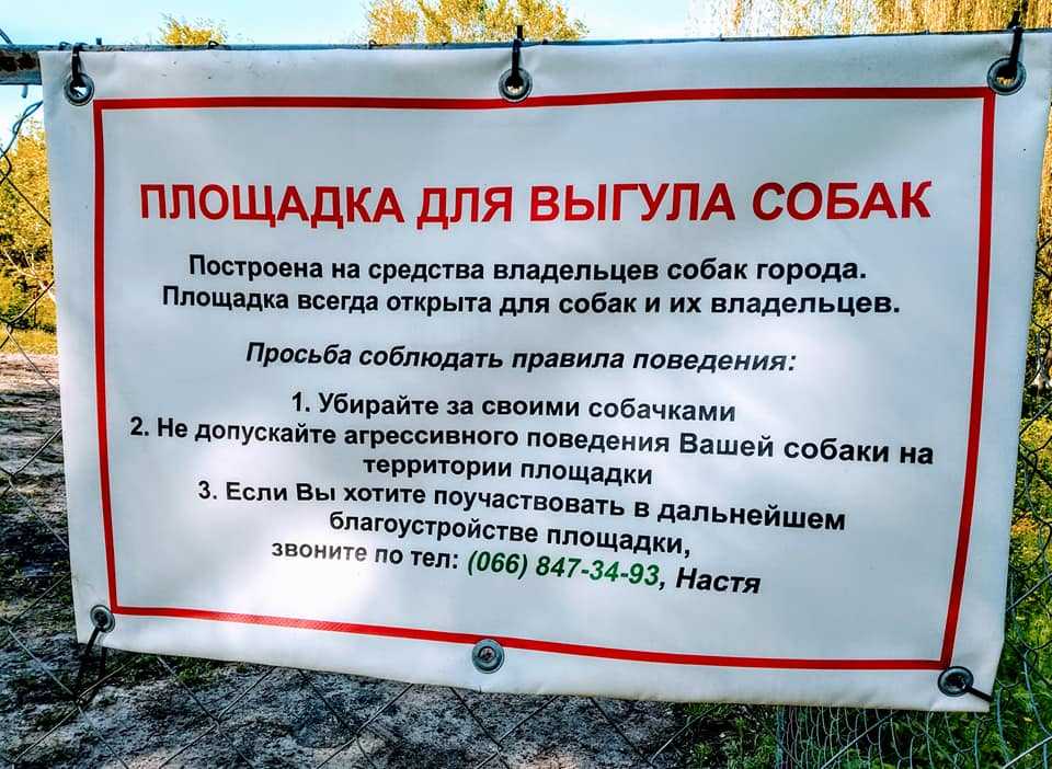Закон и правила выгула собак в россии: где можно гулять, а также о намордниках, поводках и ответственности за их отсутствие