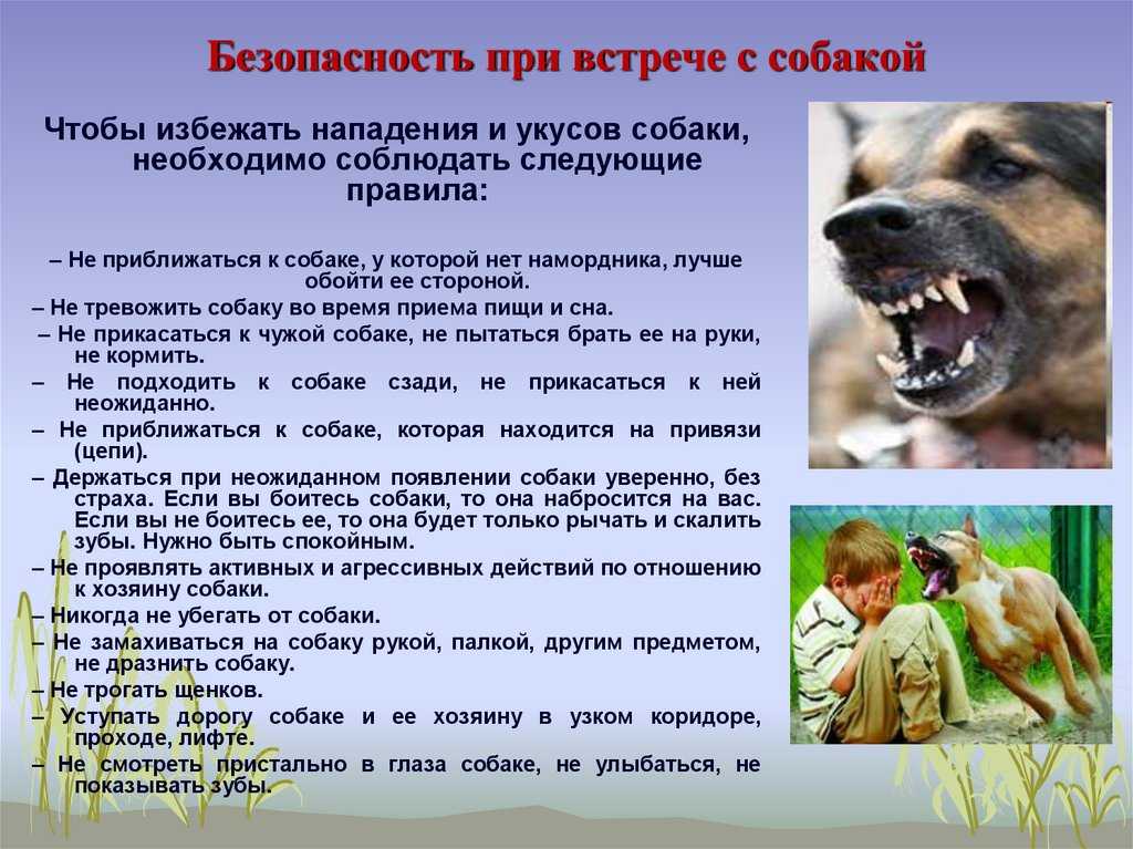 Топ 10 самых опасных и страшных мест на планете земля с фото