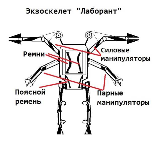 30 способов повысить работоспособность и умственную активность
