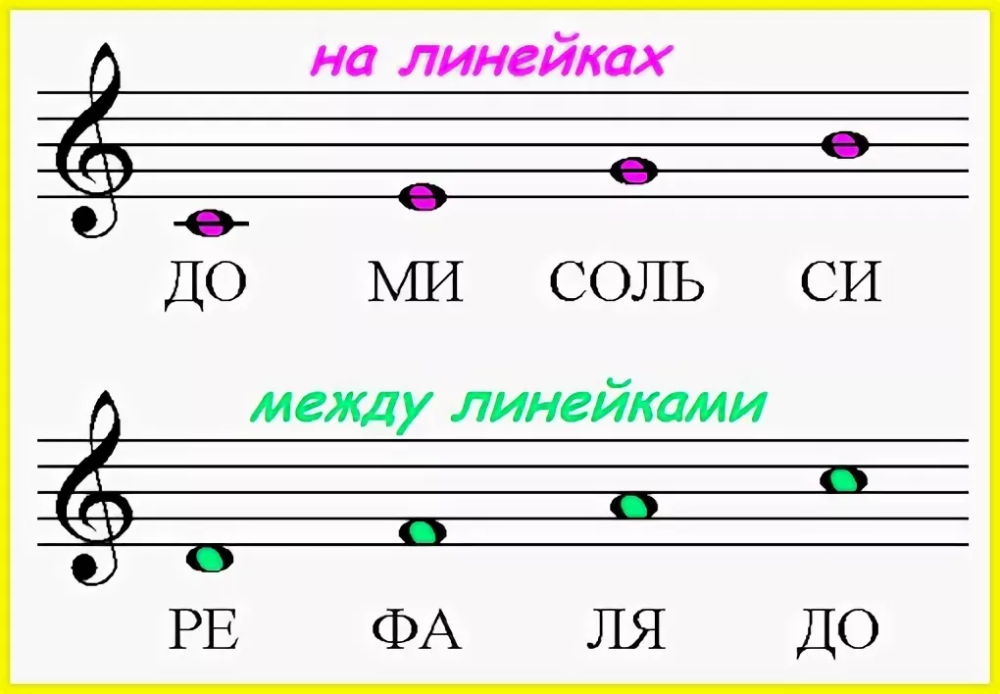 Как выучить ноты с ребенком?