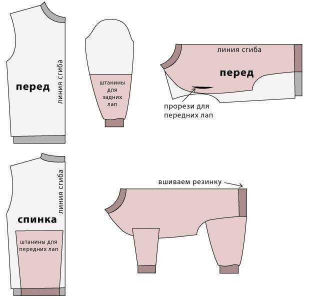 Как сшить одежду для собак своими руками: пошаговый мастер класс