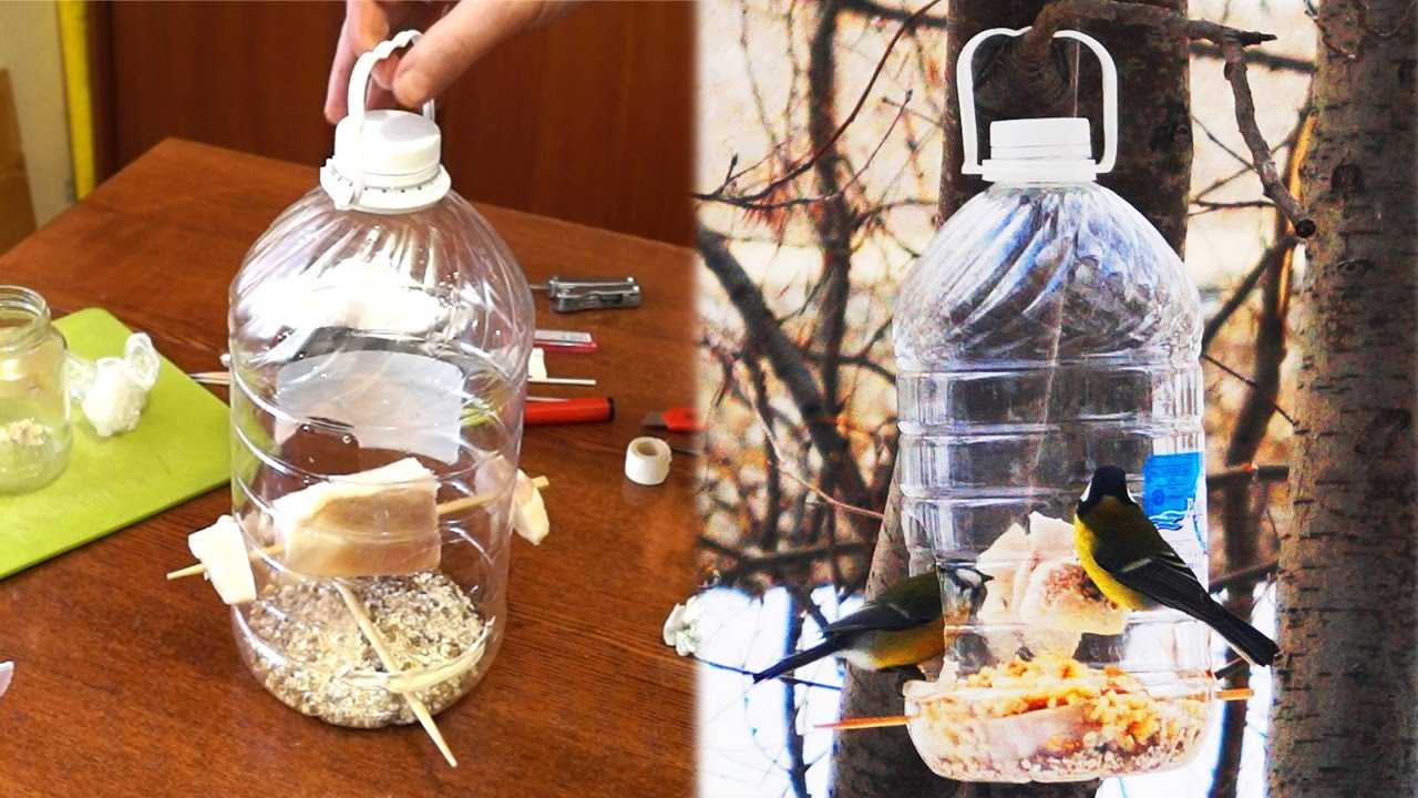 Как сделать кормушку для птиц из пятилитровой пластиковой бутылки? 34 фото пошаговое создание кормушки для синиц из бутылки емкостью 5 литров своими руками