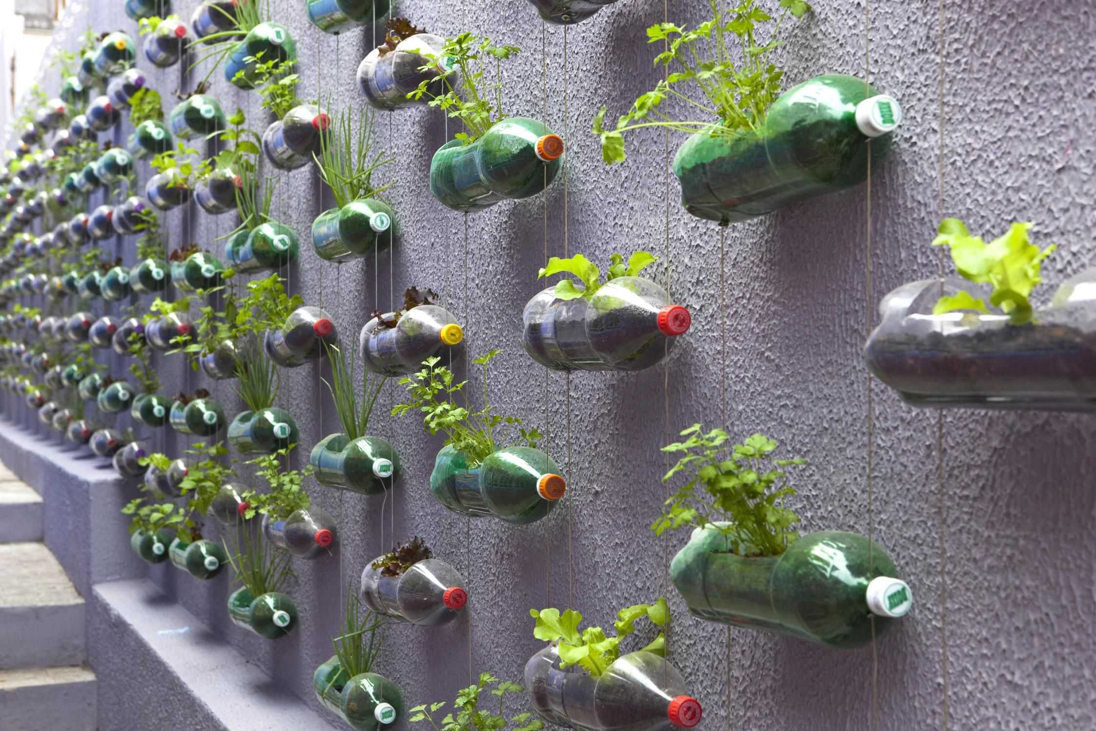 Как можно использовать пластиковые бутылки на даче: собираем конструкцию вертикального сада