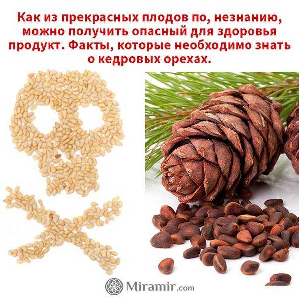 7 способов быстро очистить грецкие орехи от скорлупы