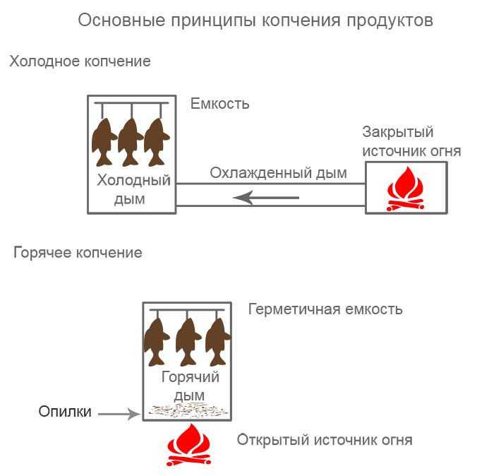 Принцип холодной коптильни. Копчение рыбы схема Холодное и горячее. Копчение горячее и Холодное отличие. Холодное копчение отличие от горячего. Коптильня горячего и холодного копчения разница.