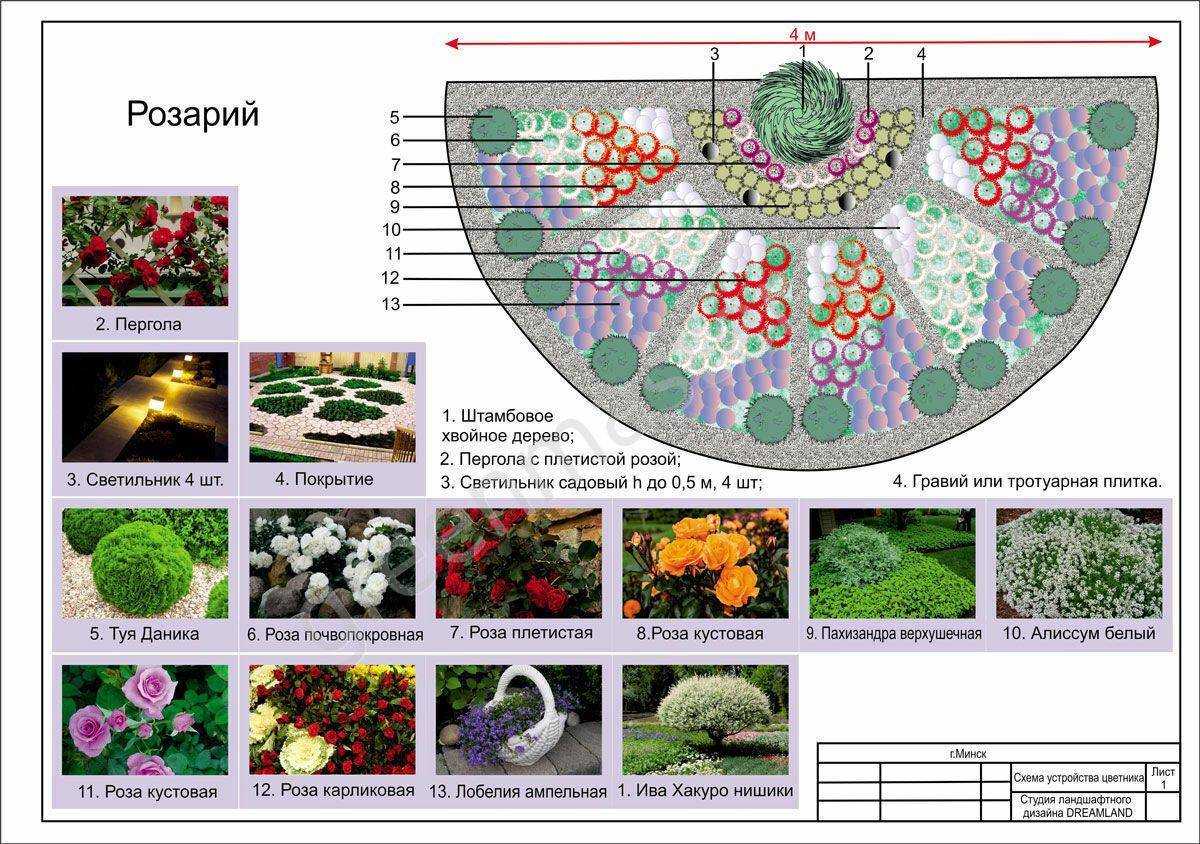 Круглые цветники с картинками с составом