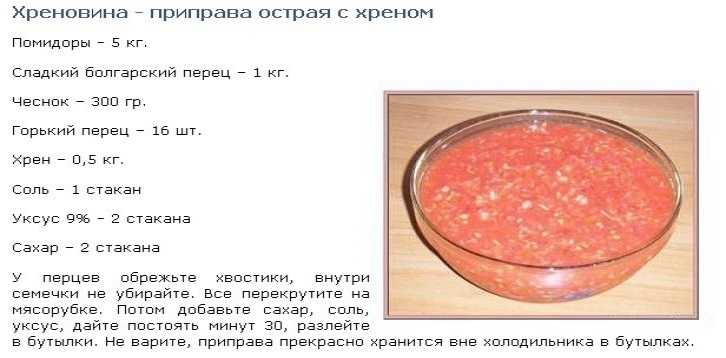 Коллекция рецептов и полезных советов для заготовки хрена с уксусом