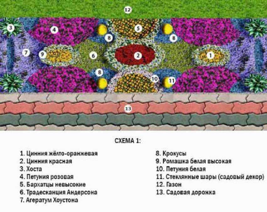 Цветы для клумбы: фото с названиями (каталог)