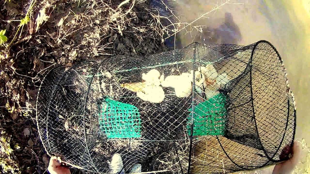 Что нужно для зимней рыбалки - список для начинающих