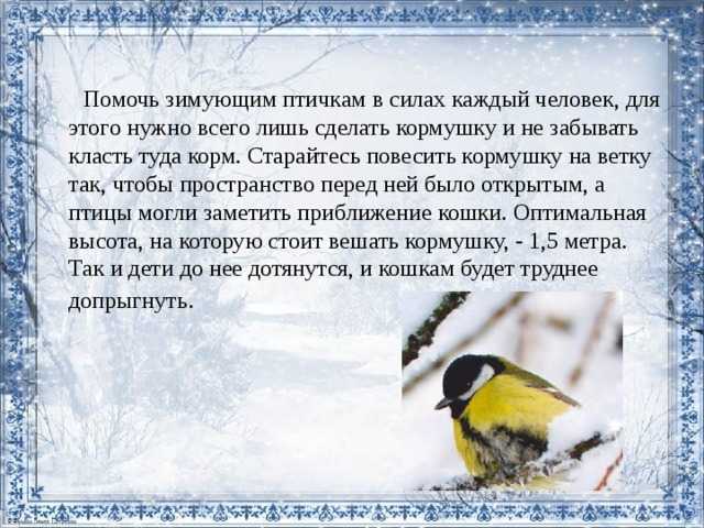 Кормушка для птиц своими руками: 12 оригинальных идей, как сделать из бутылки, коробки, дерева (фото)