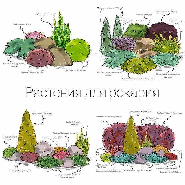 Альпийская горка своими руками на даче, садовом участке: пошаговое строительство. как сделать и оформить маленькую, красивую, простую, необычную альпийскую горку, из покрышек, с прудом, водопадом, из